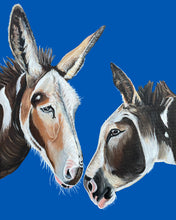 Load image into Gallery viewer, Cards: Greeting Card Set