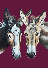 Load image into Gallery viewer, Cards: Greeting Card Set