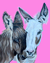 Load image into Gallery viewer, Cards: Greeting Card Set