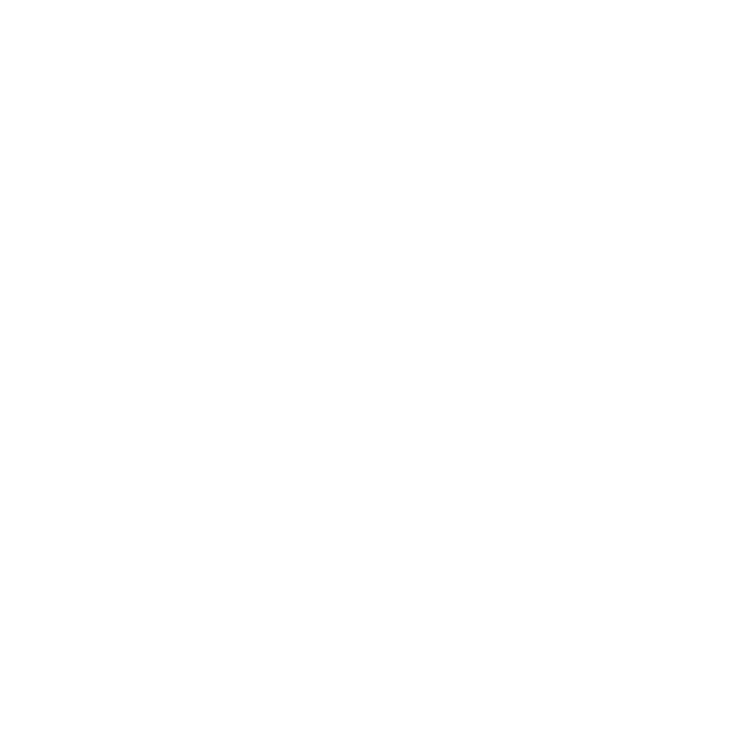 Donate to Oscar's Place!